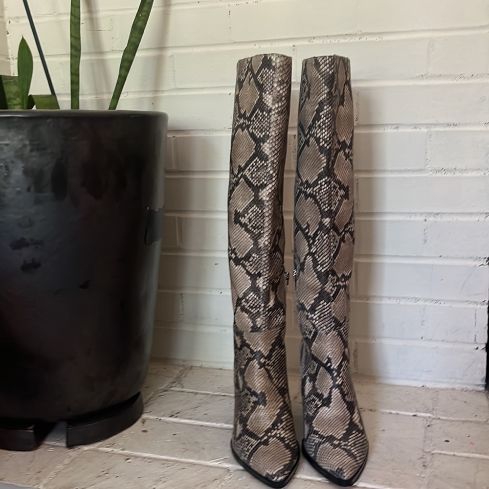 Dolce Vita Isobel Boot Black + White Snake brand new boots